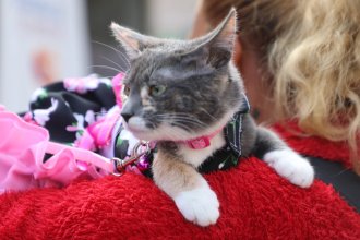 WhatsApp Image 2025-09-25 at 11.05.50.jpeg